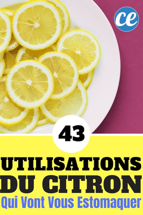 यहां जानिए नींबू के 43 उपयोग और फायदे जो आपको प्रभावित करेंगे: