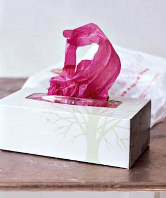 प्लास्टिक की थैलियों को एक खाली टिशू बॉक्स में स्टोर करें।