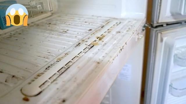 Cómo limpiar un refrigerador mohoso (SIN usar lejía).