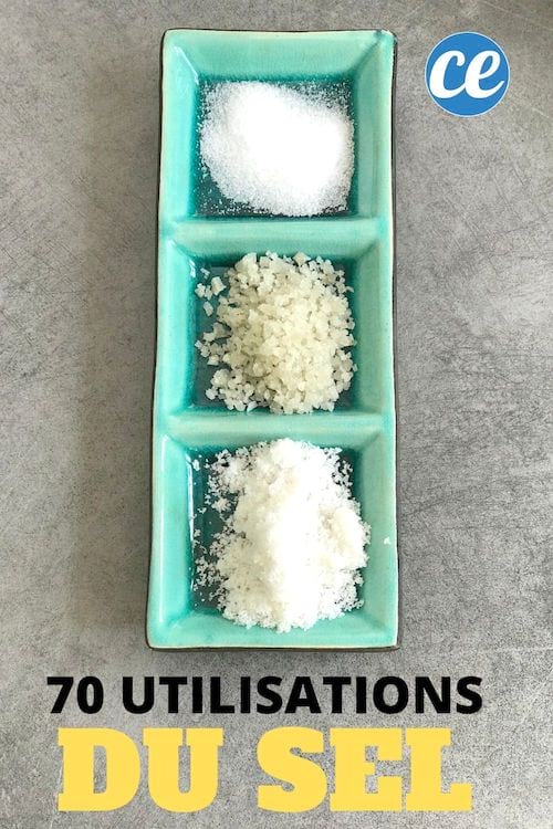 Sal grosso, sal de mesa e sal refinado de qualidade