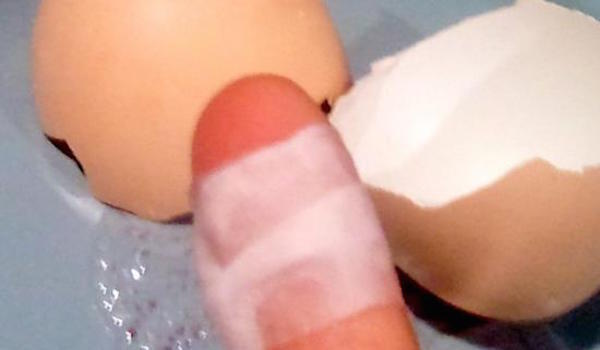 ¡la cáscara de huevo puede reemplazar el yeso adhesivo!