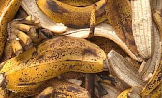 fertilizante natural de cáscara de plátano
