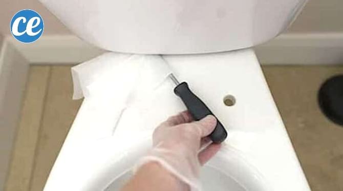 एक हाथ जो शौचालय के कटोरे को एक फ्लैट पेचकश और एक सफाई पोंछे से साफ करता है।
