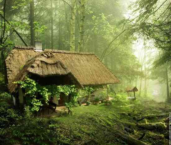 casa mágica y sorprendente en medio del bosque