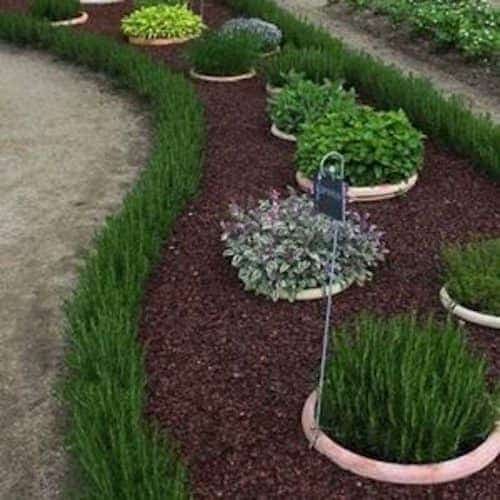 עם דשא גבוה או צמחים אתה יכול בקלות ליצור גבול לגינה.