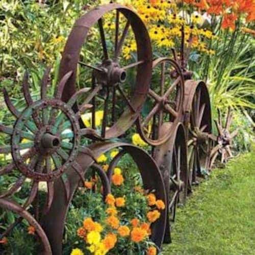 רעיון מקורי לגבול לגינה הוא להשתמש בגלגלים ישנים.
