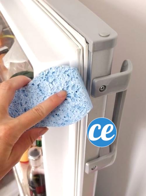 كيفية تنظيف جوانات باب الثلاجة بسهولة