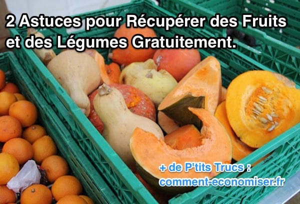 consejos para recolectar frutas y verduras gratis