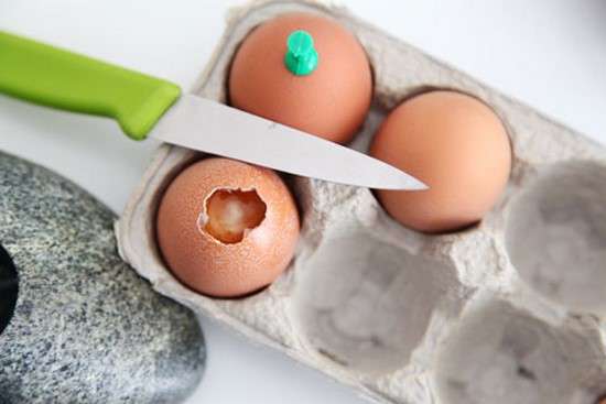 cortar la cáscara del huevo