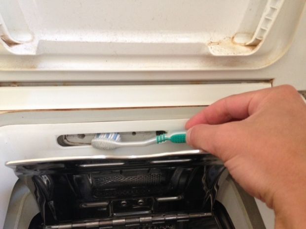 Neteja la batedora de la rentadora