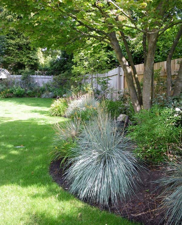 Hermosas hierbas decorativas pueden embellecer el jardín.