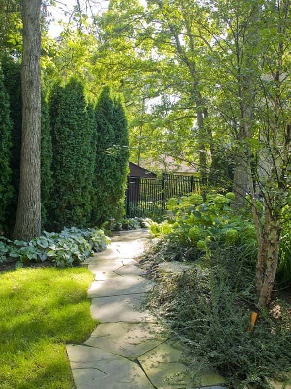 Embellece tu jardín con un camino de piedra.