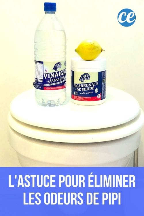 Vinagre blanco, bicarbonato de sodio y limón colocados en el inodoro para eliminar el olor a pis