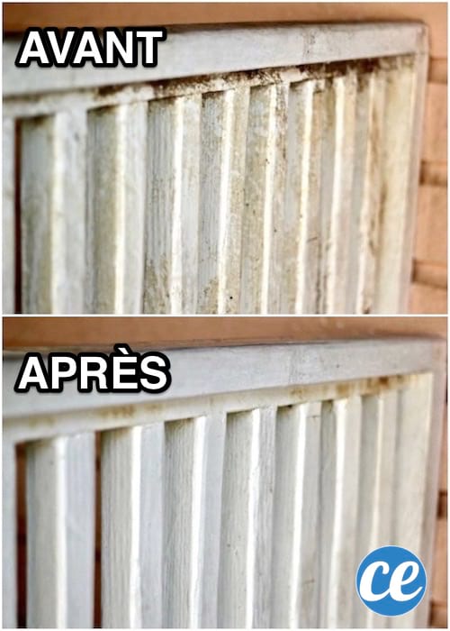 Elimina fácilmente las manchas de moho de una pared