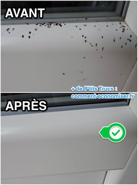 consejo para limpiar los excrementos de moscas