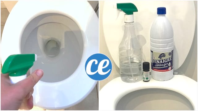 DIY: paštaisīts tualetes atkaļķošanas līdzeklis, kas viegli atbrīvojas no kaļķa