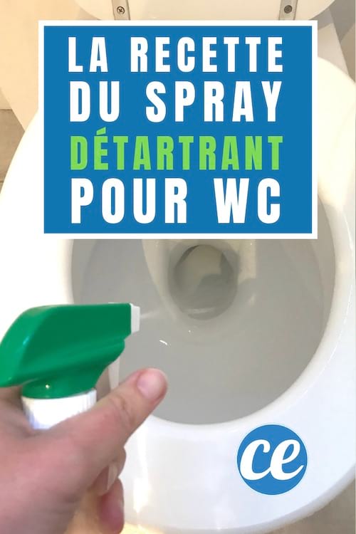 The homemade spray to descale the rim and the toilet bowl like a professional