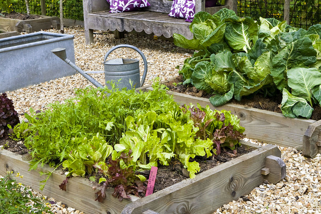 Den praktiske guide til at kombinere grøntsager fra din have.