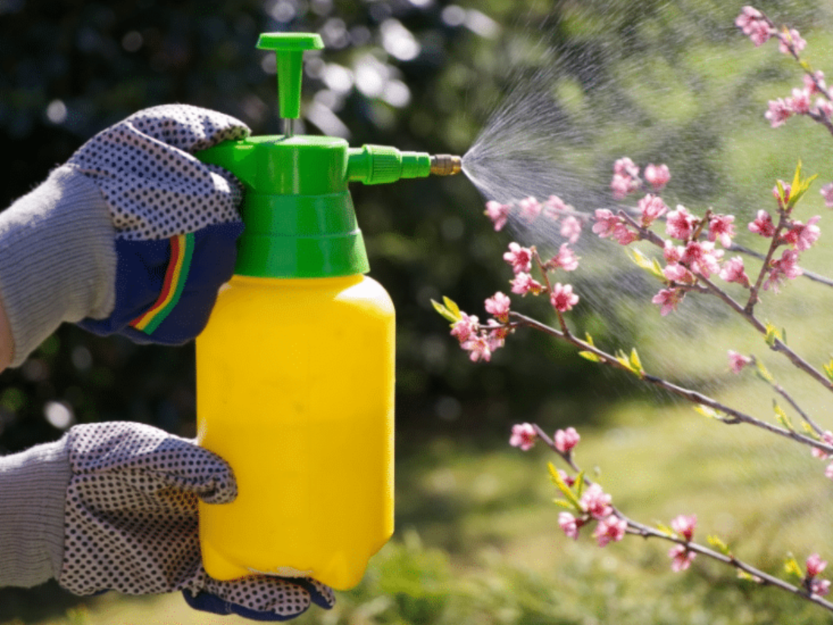 The Quick Hint To Kill Weeds With White Vinegar.