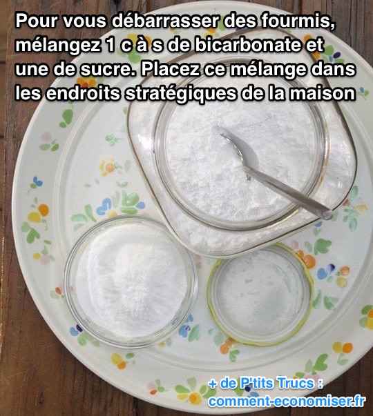 Utilitzeu bicarbonat de sodi i sucre per matar formigues a casa