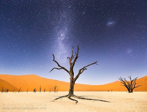 صحرائے نامیب کے وسط میں مرجھایا ہوا درخت