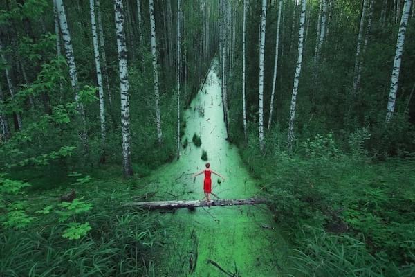 Hatalmas végtelen erdő Oroszországban