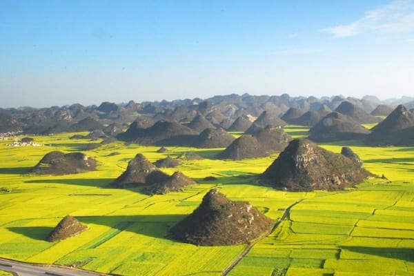 Enormes campos de colza en China