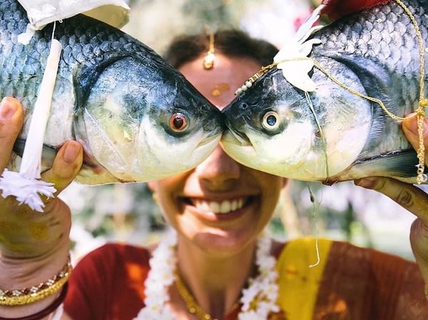 بھارت میں دو مچھلیاں بوسہ لے رہی ہیں۔