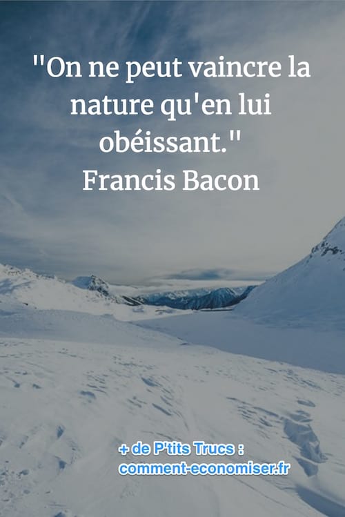 cita de Francis Bacon sobre el poder de la natura