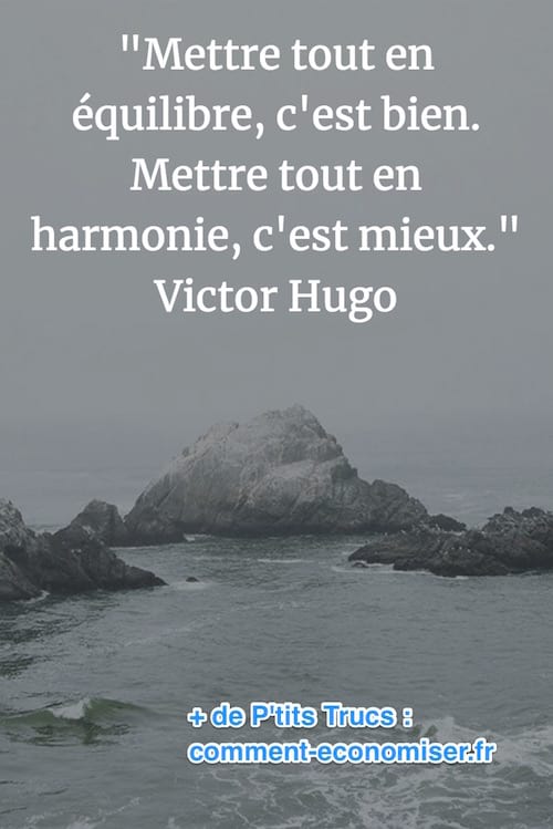 cita de Victor Hugo sobre l'harmonia i l'equilibri vital