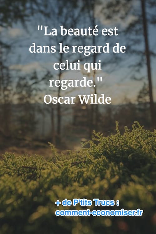 Cita d'Oscar Wilde sobre bellesa