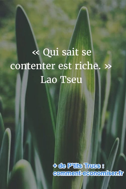 cita de riquesa de Lao Tzu