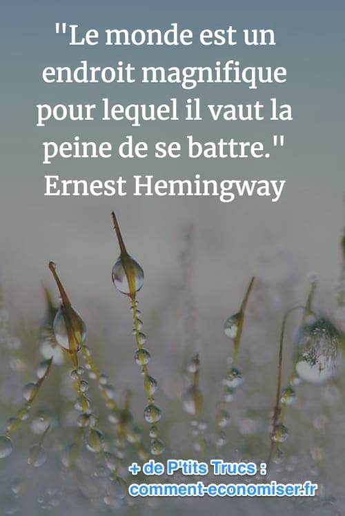 cita d'Ernest Hemingway sobre la bellesa del món