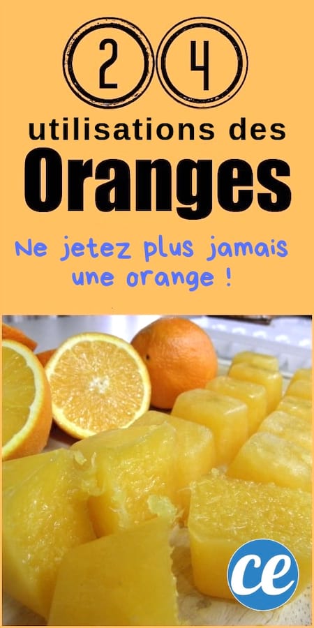 ¿Qué hacer con las naranjas? 24 usos asombrosos que todos deberían saber