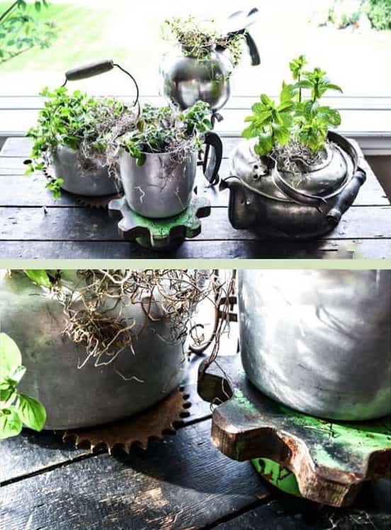 mini garden sa aluminum kettle