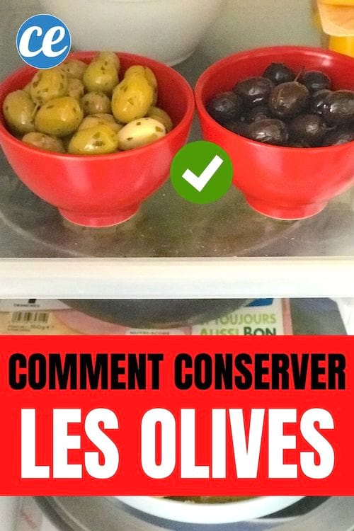 Sorte og grønne oliven opbevares i køleskabet i skåle