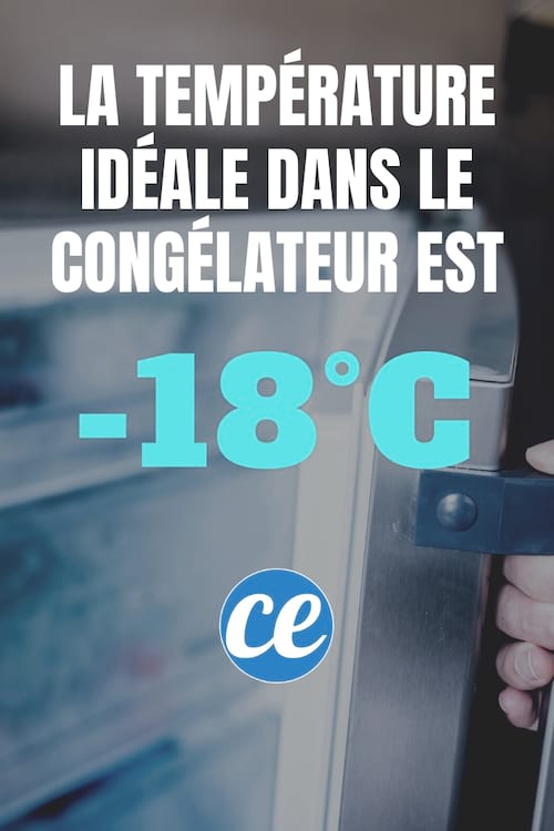 Congelador abierto con el siguiente texto: LA temperatura ideal En el congelador ESt -18 ° C