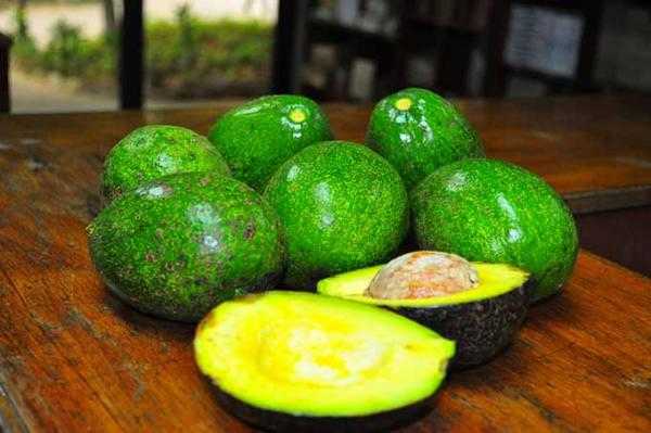 avocadoer lige modne til en opskrift