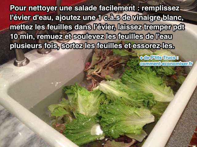 Kuidas salatit lihtsalt pesta
