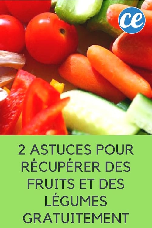 2 consejos para obtener frutas y verduras gratis