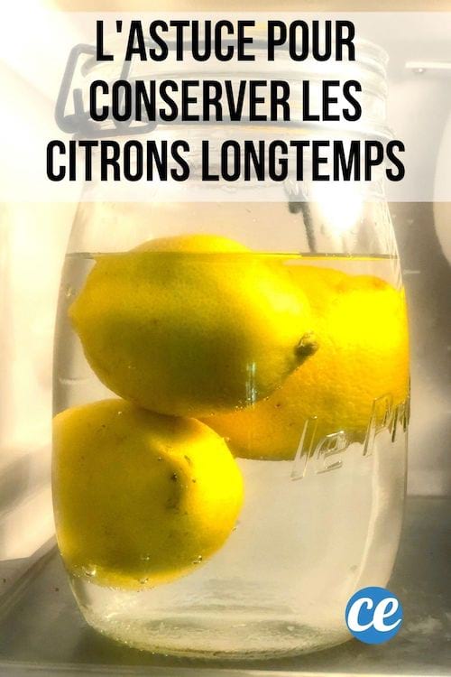 تین پیلے لیموں کو پانی سے بھرے ہوئے برتن میں فریج میں رکھیں تاکہ انہیں زیادہ دیر تک رکھ سکیں