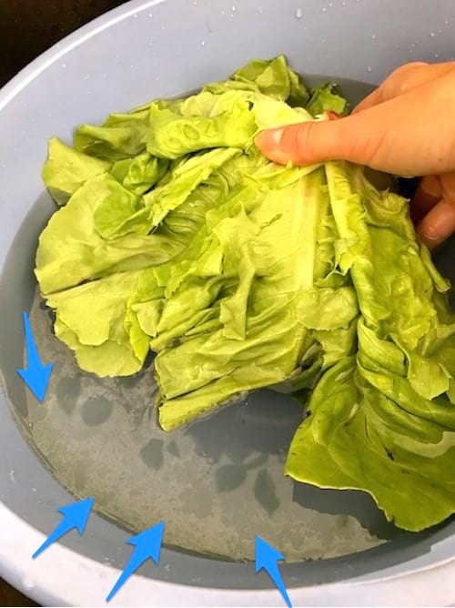 por qué es necesario lavar bien una ensalada verde