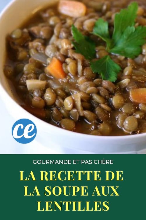 An easy and economical recipe for green lentil soup with vegetables