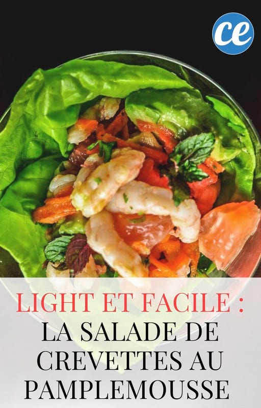 easy light salad recipe with shrimp and grapefruit
