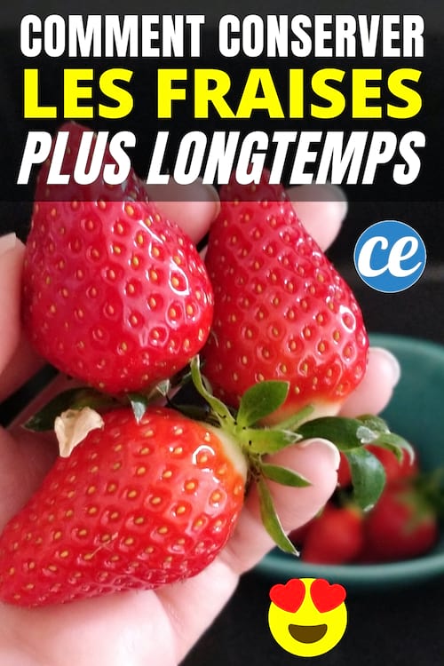 如何将草莓存放在冰箱中数周。