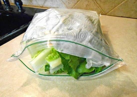 Pon una toalla de papel en la ensalada para que dure más tiempo.