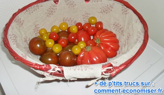 cómo almacenar tomates por más tiempo