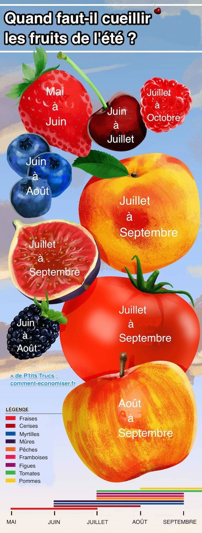 Calendario de recolección de frutas de verano