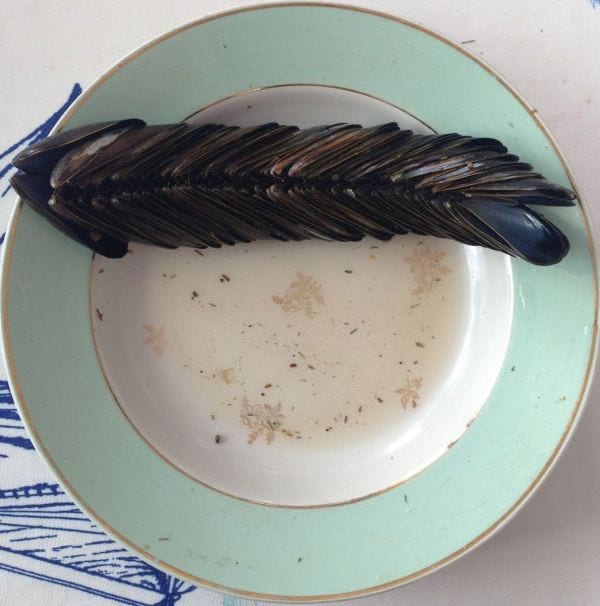Indlejrede muslingeskaller på en tallerken