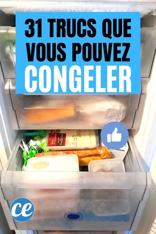 Un congelador se llena de comida congelada para mantenerla por más tiempo.